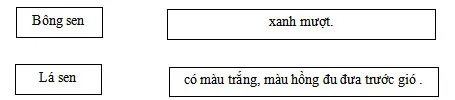 Bộ đề thi giữa học kì 2 lớp 2 năm 2023 – 2024 sách Cánh diều