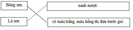 Bộ đề thi giữa học kì 2 lớp 2 năm 2023 – 2024 sách Cánh diều