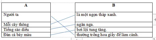 Bộ đề thi giữa học kì 2 lớp 4 năm 2023 – 2024 sách Cánh diều