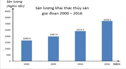 Bộ đề thi giữa học kì 2 lớp 7 năm 2023 – 2024 sách Cánh diều