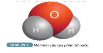 Bộ đề thi giữa học kì 2 môn Khoa học tự nhiên 7 năm 2023 – 2024 sách Chân trời sáng tạo