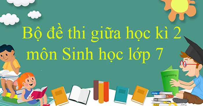 Bộ đề thi giữa học kì 2 môn Khoa học tự nhiên 7 năm 2023 – 2024 (Sách mới)