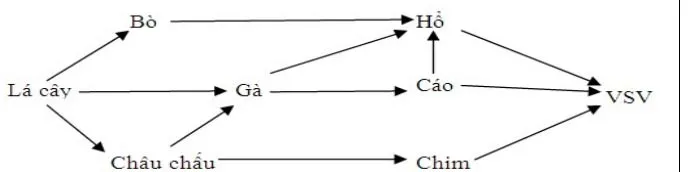 Bộ đề thi giữa học kì 2 môn Sinh học lớp 9 năm 2023 – 2024