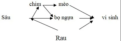 Bộ đề thi giữa học kì 2 môn Sinh học lớp 9 năm 2023 – 2024