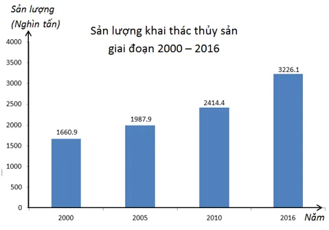 Bộ đề thi giữa học kì 2 môn Toán 7 năm 2023 – 2024 sách Cánh diều