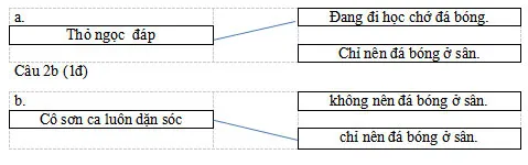 Bộ đề thi học kì 1 lớp 1 năm 2023 – 2024 sách Cánh diều