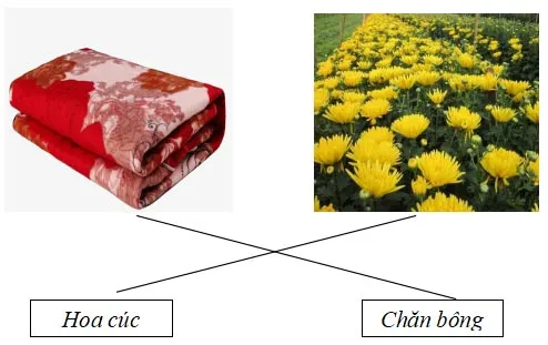 Bộ đề thi học kì 1 lớp 1 năm 2023 – 2024 (Sách mới)