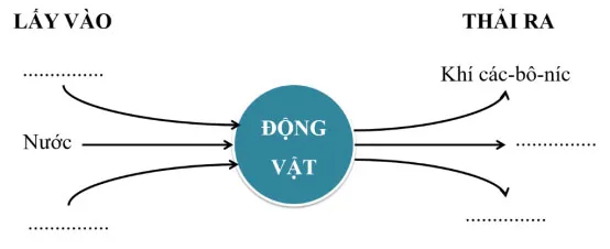 Bộ đề thi học kì 1 lớp 4 năm 2023 – 2024 sách Chân trời sáng tạo