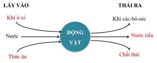 Bộ đề thi học kì 1 lớp 4 năm 2023 – 2024 sách Chân trời sáng tạo