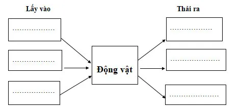 Bộ đề thi học kì 1 lớp 4 năm 2023 – 2024 sách Kết nối tri thức với cuộc sống