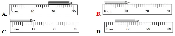 Bộ đề thi học kì 1 lớp 6 năm 2023 – 2024 sách Cánh diều (9 môn)