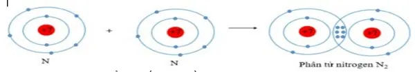 Bộ đề thi học kì 1 môn Hóa học 10 năm 2023 – 2024 sách Kết nối tri thức với cuộc sống