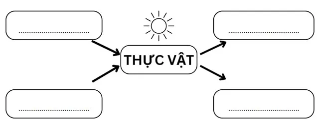 Bộ đề thi học kì 1 môn Khoa học 4 năm 2023 – 2024 sách Chân trời sáng tạo