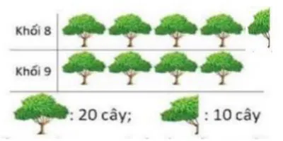 Bộ đề thi học kì 1 môn Toán 6 năm 2023 – 2024 sách Chân trời sáng tạo