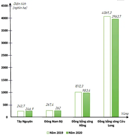 Bộ đề thi học kì 1 môn Toán 8 năm 2023 – 2024 sách Chân trời sáng tạo