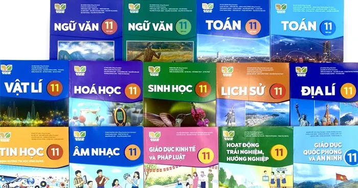 Bộ đề thi học kì 2 lớp 11 năm 2023 – 2024 sách Kết nối tri thức với cuộc sống