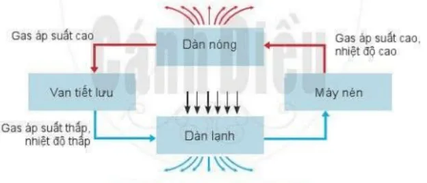 Bộ đề thi học kì 2 môn Công nghệ 6 năm 2023 – 2024 sách Cánh diều