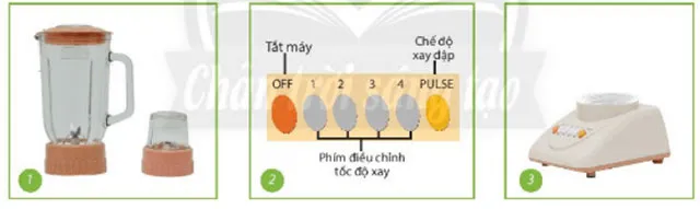 Bộ đề thi học kì 2 môn Công nghệ 6 năm 2023 – 2024 sách Chân trời sáng tạo