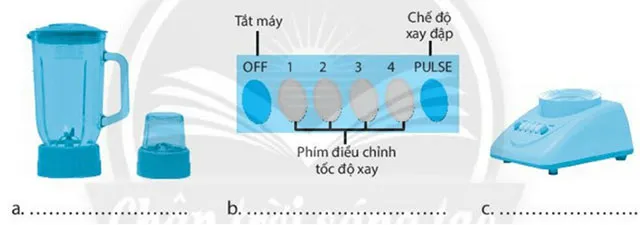 Bộ đề thi học kì 2 môn Công nghệ 6 năm 2023 – 2024 sách Chân trời sáng tạo