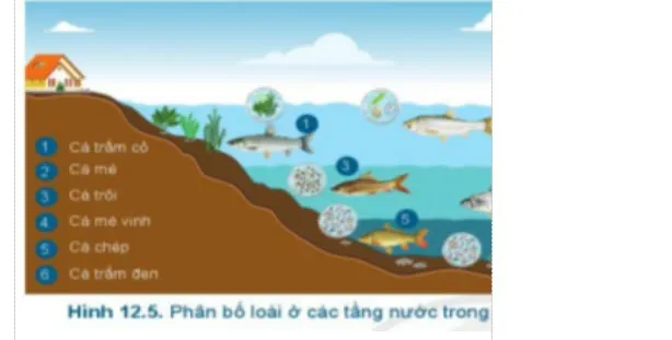 Bộ đề thi học kì 2 môn Công nghệ 7 năm 2023 – 2024 sách Cánh diều