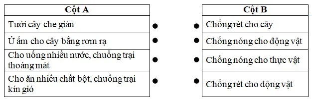 Bộ đề thi học kì 2 môn Khoa học lớp 4 năm học 2017-2018 theo Thông tư 22