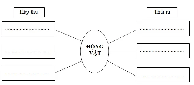 Bộ đề thi học kì 2 môn Khoa học lớp 4 năm học 2017-2018 theo Thông tư 22