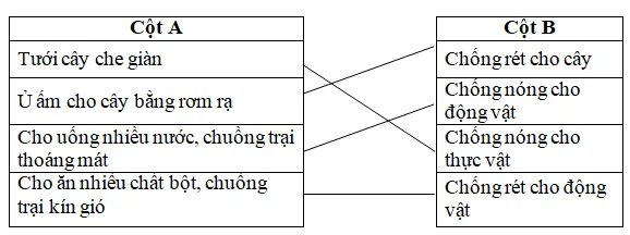 Bộ đề thi học kì 2 môn Khoa học lớp 4 năm học 2017-2018 theo Thông tư 22