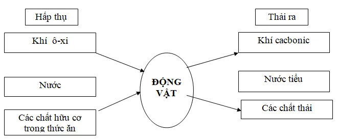 Bộ đề thi học kì 2 môn Khoa học lớp 4 năm học 2017-2018 theo Thông tư 22