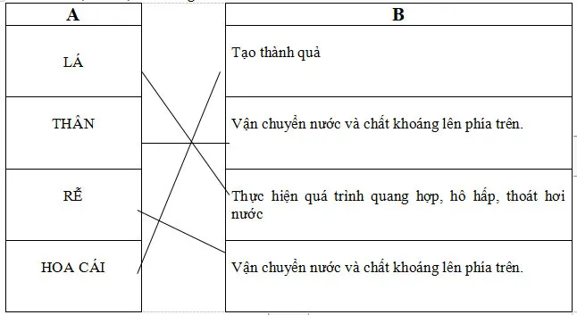 Bộ đề thi học kì 2 môn Khoa học lớp 4