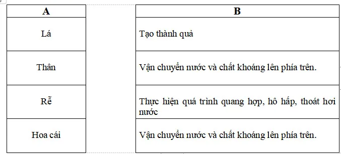 Bộ đề thi học kì 2 môn Khoa học lớp 4