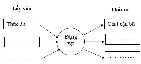 Bộ đề thi học kì 2 môn Khoa học lớp 4