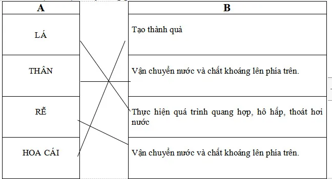 Bộ đề thi học kì 2 môn Khoa học lớp 4