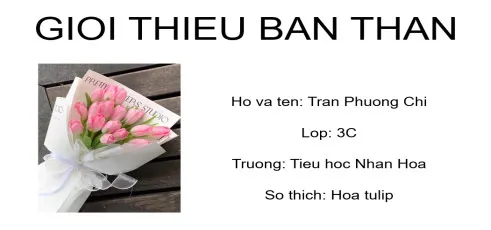 Bộ đề thi học kì 2 môn Tin học 3 năm 2023 – 2024 sách Kết nối tri thức với cuộc sống