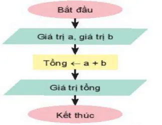 Bộ đề thi học kì 2 môn Tin học 6 năm 2023 – 2024 sách Kết nối tri thức với cuộc sống