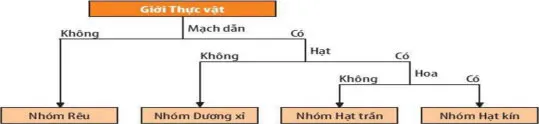 Bộ đề thi học sinh giỏi môn Khoa học tự nhiên 6 (Có đáp án)