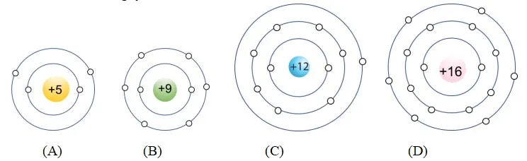 Bộ đề thi học sinh giỏi môn Khoa học tự nhiên 7 – Cấp trường