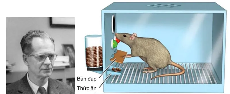 Bộ đề thi học sinh giỏi môn Khoa học tự nhiên 7 – Cấp trường