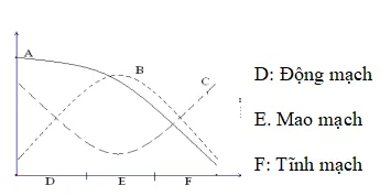 Bộ đề thi học sinh giỏi môn Sinh học 8