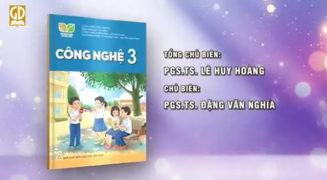 Bộ sách giáo khoa Lớp 3: Kết nối tri thức với cuộc sống (Sách học sinh)