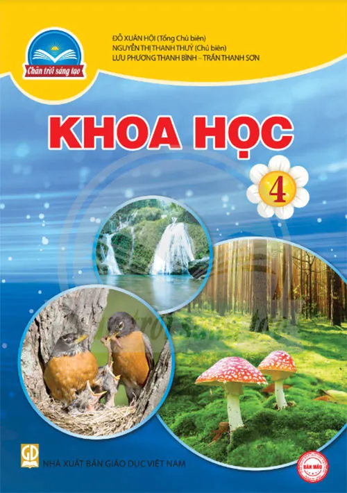 Bộ sách giáo khoa Lớp 4: Chân trời sáng tạo (Sách học sinh)