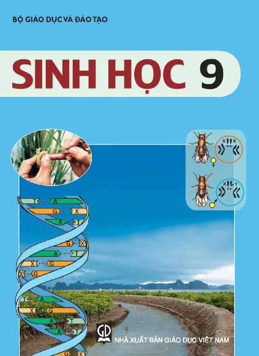 Bộ sách giáo khoa Lớp 9 (Sách học sinh)