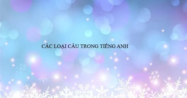 Các loại câu trong tiếng Anh