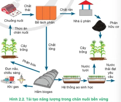 Công nghệ 11 Bài 2: Xu hướng phát triển của chăn nuôi