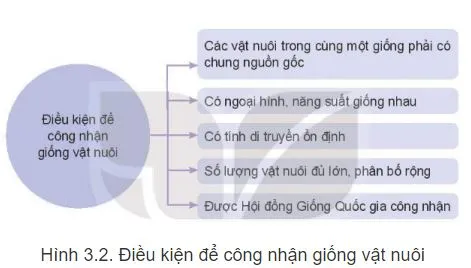 Công nghệ 11 Bài 3: Khái niệm, vai trò của giống trong chăn nuôi