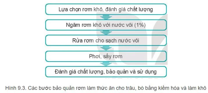 Công nghệ 11 Bài 8: Sản xuất và chế biến thức ăn chăn nuôi