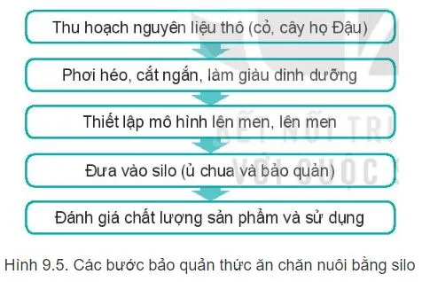 Công nghệ 11 Bài 9: Bảo quản thức ăn chăn nuôi