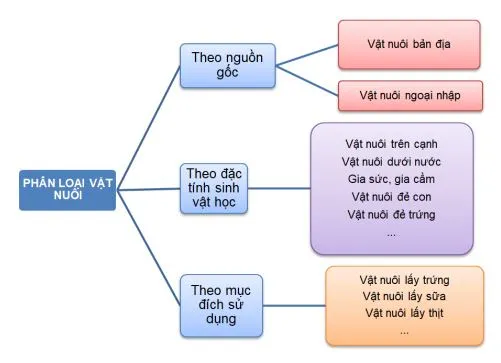 Công nghệ 11: Ôn tập chương 1