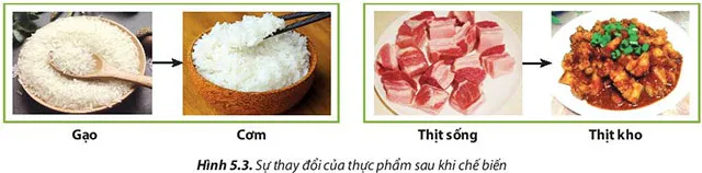 Công nghệ 6 Bài 5: Bảo quản và chế biến thực phẩm trong gia đình