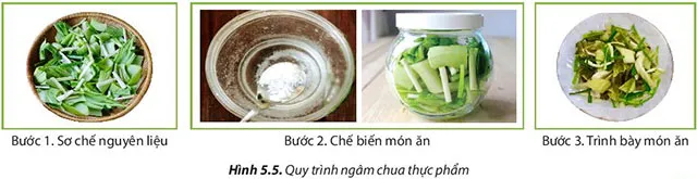 Công nghệ 6 Bài 5: Bảo quản và chế biến thực phẩm trong gia đình