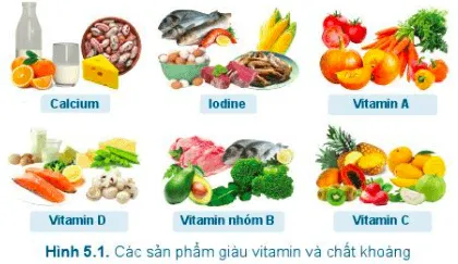 Công nghệ 6 Bài 5: Thực phẩm và giá trị dinh dưỡng